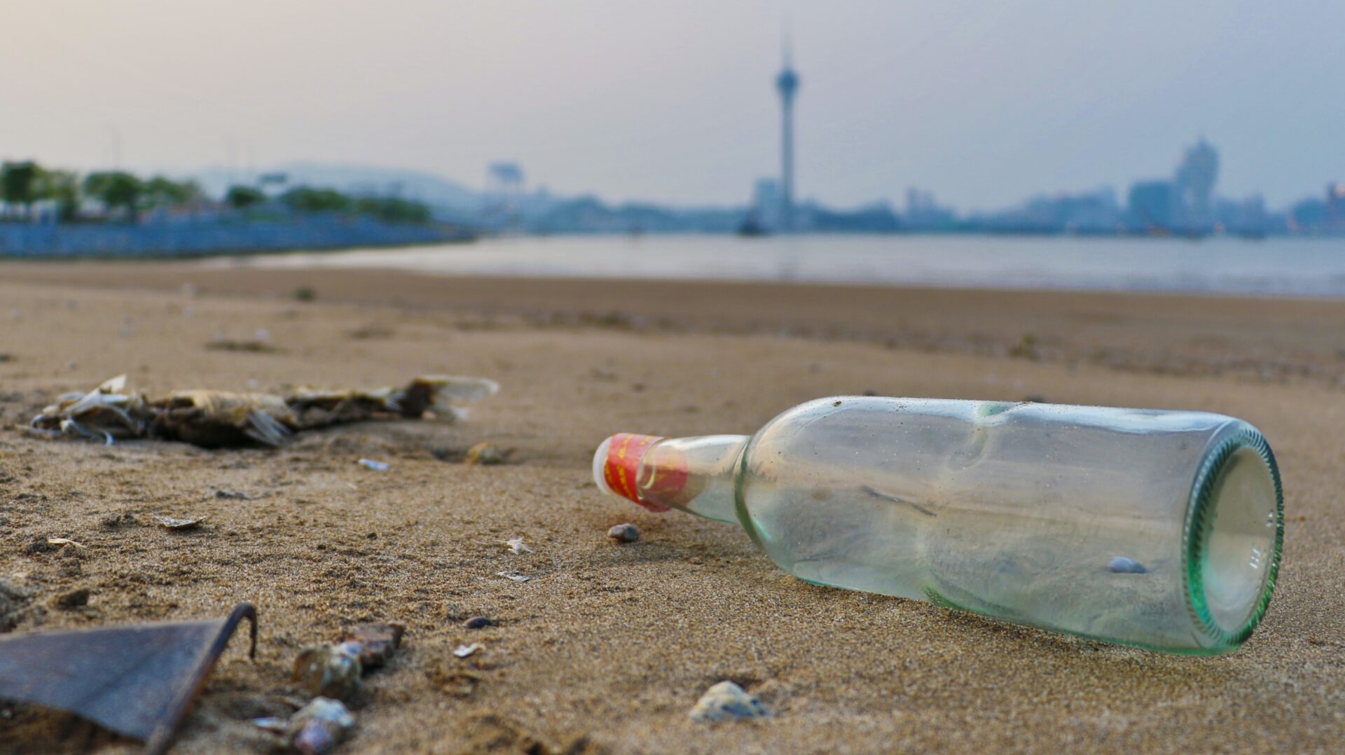 11 Easy Ways to Reduce Your Plastic Waste Today